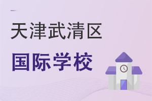 天津武清區國際學校