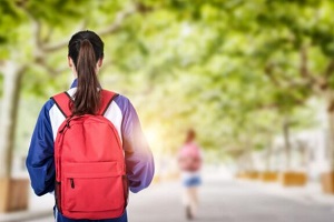 北京朝陽區(qū)國際初中入學條件