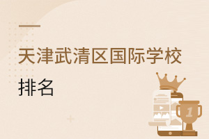 天津武清區國際學校排名