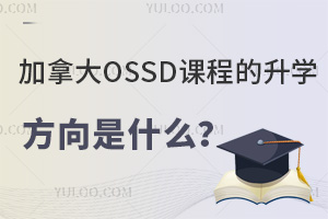 ôOSSDn̵W(xu)ʲô