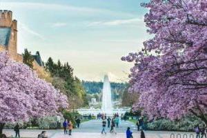 2024-2025年北京新學道臨川學校學費標準一覽！含小初高年級