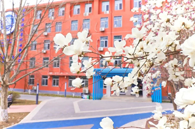 北京新府學外國語學校(國內班)家長印象如何？大家的評價好不好？