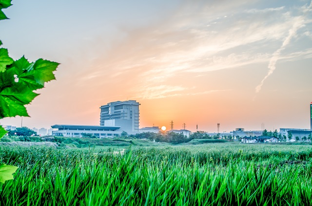 一文解答重慶公共運(yùn)輸職業(yè)學(xué)院怎么樣?2025屆考生參考！