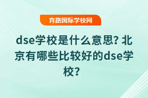 dseW(xu)Уʲô˼Щ^õdseW(xu)У