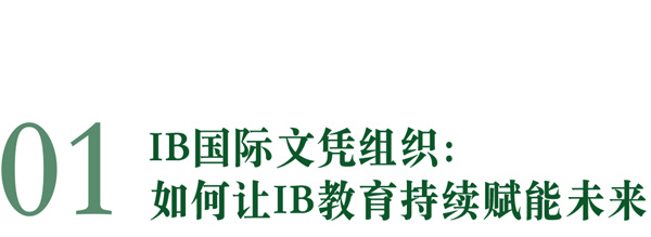 IBʲô